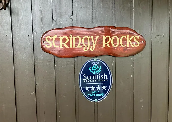 Stringy Rocks