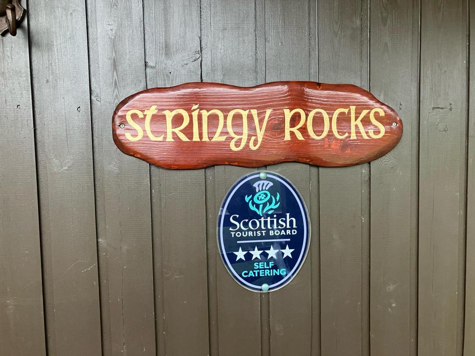 Stringy Rocks